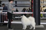 Meilleur de Sexe Opposé Bordeaux 2017